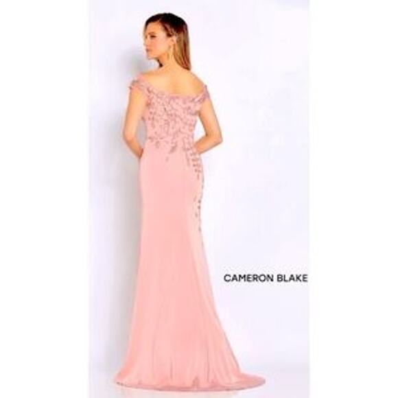 Cameron Blake Mother of Bride Formal Dress Gown 10 - Picture 2 of 16